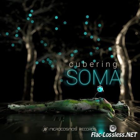 Cubering - Soma (2017) Microcosmos Records FLAC (tracks)