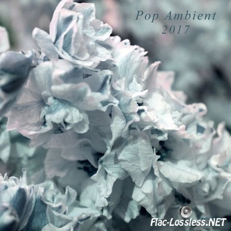 VA - Pop Ambient 2017 (2016) FLAC (tracks)