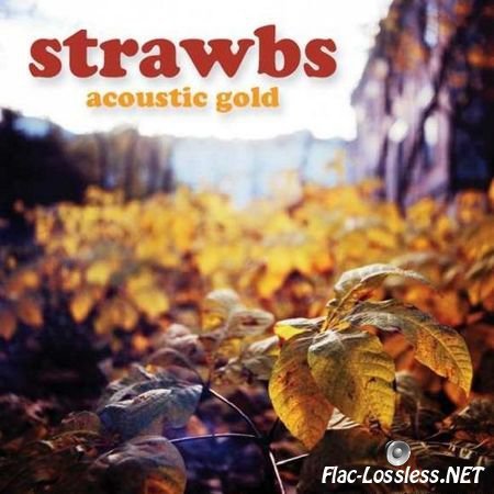 STRAWBS - Acoustic Gold (2011) FLAC (tracks + .cue)