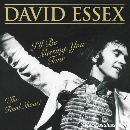 David Essex - I'll Be Missing You Tour (The Final Show) (2017) FLAC (tracks)