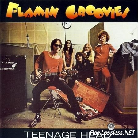 Flamin Groovies - Teenage Head (1971/1999) FLAC (image + .cue)