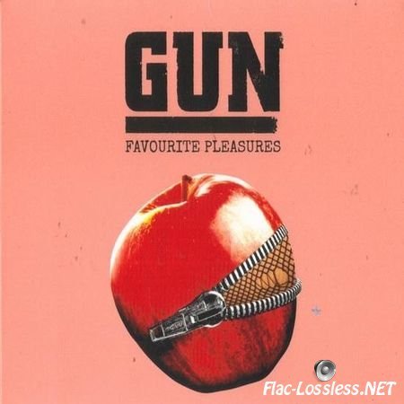 Gun - Favourite Pleasures (2017) FLAC (image + .cue)