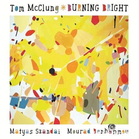 Tom McClung - Burning Bright (2015) [24bit Hi-Res] FLAC (tracks)