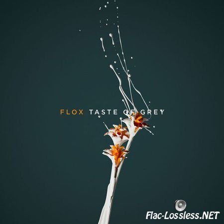 Flox - Taste of Grey (2017) [24bit Hi-Res] FLAC (tracks)