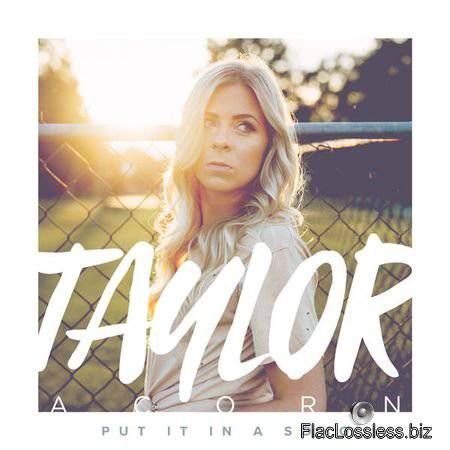 Taylor Acorn - Put It in a Song (2017) [24bit Hi-Res EP] FLAC (tracks)