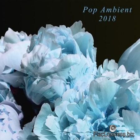 VA - Pop Ambient 2018 (2017) FLAC (tracks)