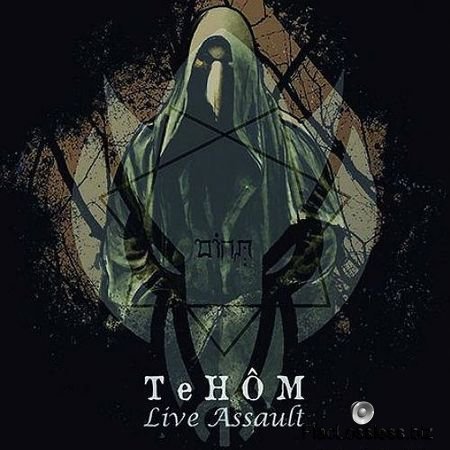 Tehom - Live Assault (2017) FLAC (tracks)