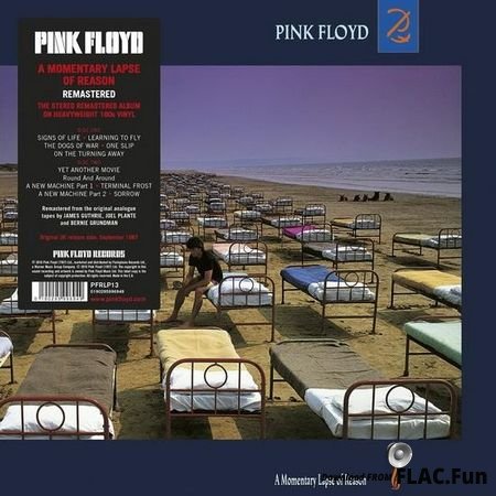 Pink Floyd - A Momentary Lapse of Reason (1987, 2017) [Vinyl] WV (tracks)
