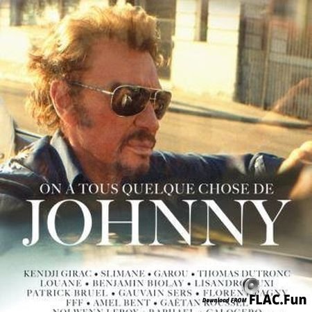 VA - On A Tous Quelque Chose De Johnny (2017) FLAC (tracks + .cue)