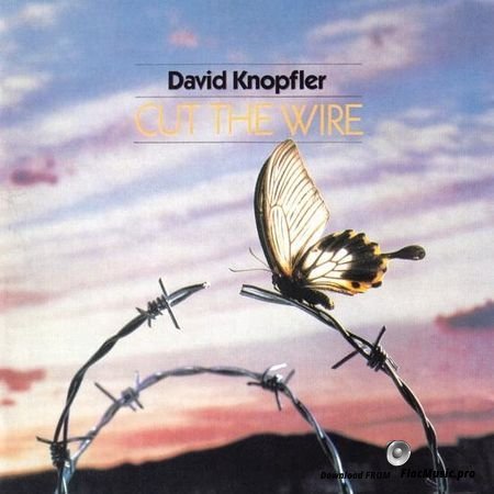 David Knopfler - Cut The Wire (1986) FLAC (tracks + .cue)
