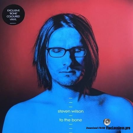 Steven Wilson - To The Bone (2017) (VINYL) WV (tracks)
