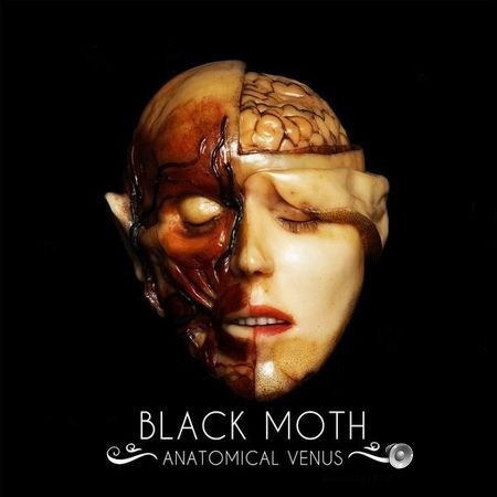 Black Moth - Anatomical Venus (2018) FLAC (tracks)