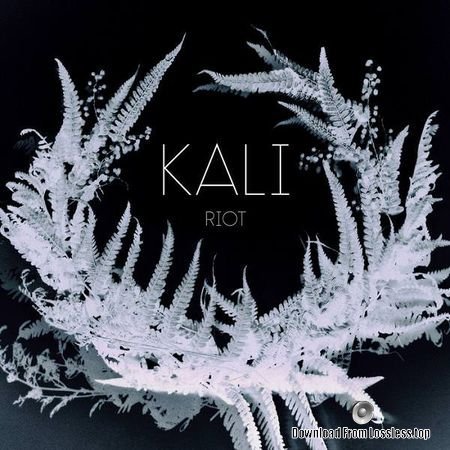 Kali - Riot (2018) (24bit Hi-Res) FLAC