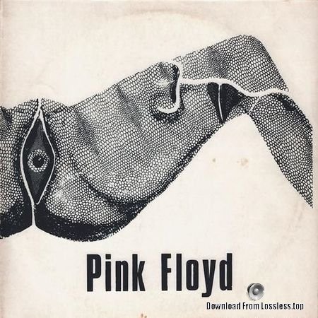 Pink Floyd - Untitled (1971) (Vinyl) FLAC (tracks + .cue)