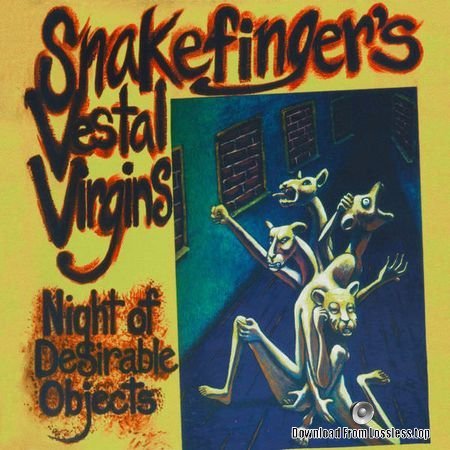 Snakefinger - Night of Desirable Objects (2018) FLAC