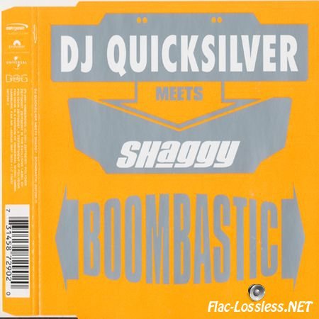 DJ Quicksilver Meets Shaggy - Boombastic (2001) FLAC (tracks+.cue)