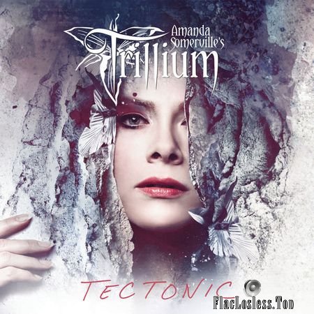 Trillium - Tectonic (2018) (24bit Hi-Res) FLAC