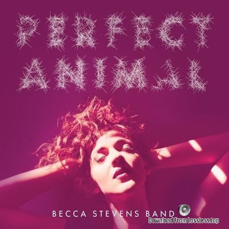 Becca Stevens Band - Perfect Animal (2015) FLAC (tracks)