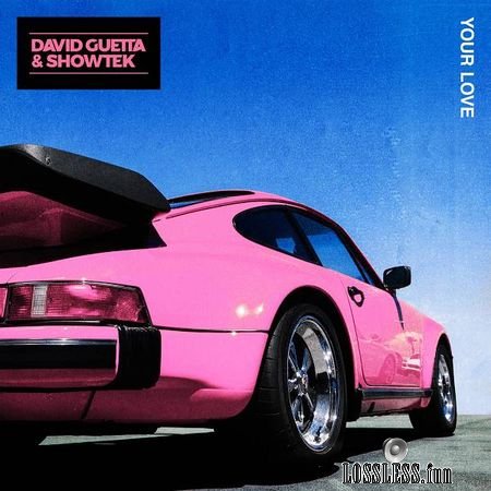David Guetta and Showtek - Your Love (feat. Vassy) (2018) (24bit Single) FLAC