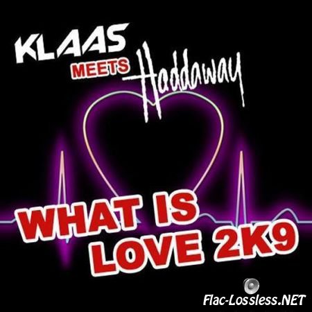 Klaas Meets Haddaway - What Is Love 2K9 (2009) FLAC (tracks + .cue)