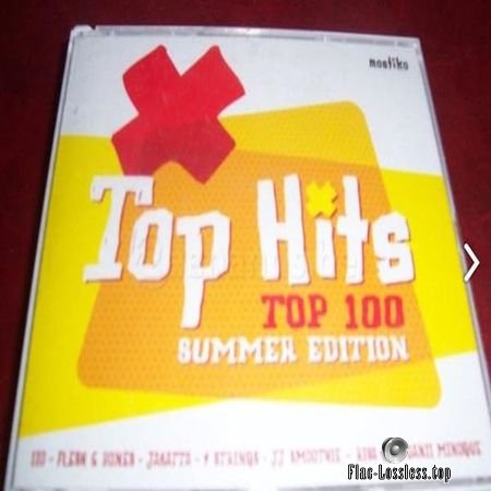 VA - Top Hits Top 100 Summer Edition (2002) FLAC (tracks)