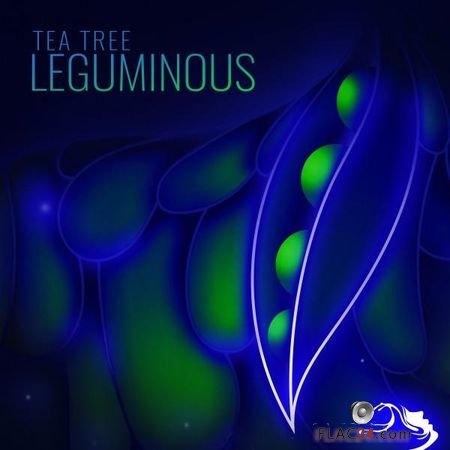 Tea Tree - Leguminous (2018) FLAC (tracks)