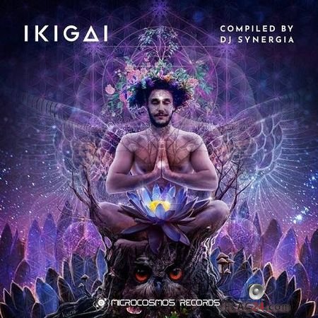 VA - Ikigai (2018) FLAC (tracks)