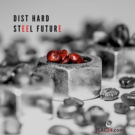 Dist HarD - Steel Future (2018) (24bit Hi-Res) FLAC