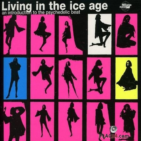 VA - Living In The Ice Age (An Introduction To Psychedelic Beat) (1997) FLAC (tracks + .cue)