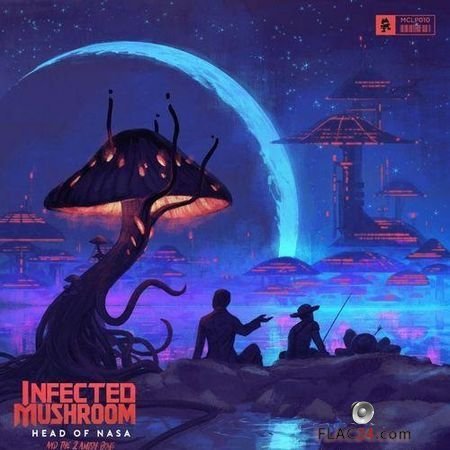Infected Mushroom - Head Of NASA And The 2 Amish Boys (2018) FLAC (tracks)