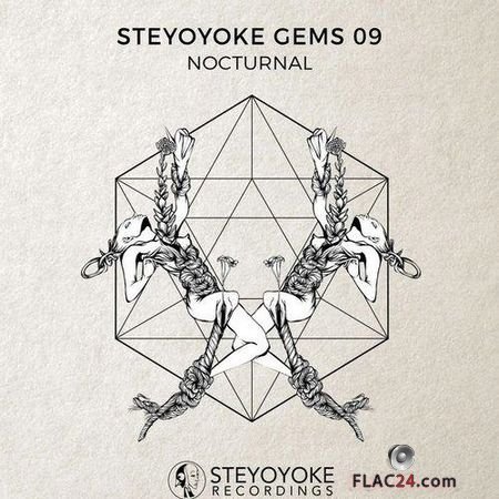 VA - Steyoyoke Gems Nocturnal 07 (2018) FLAC (tracks)