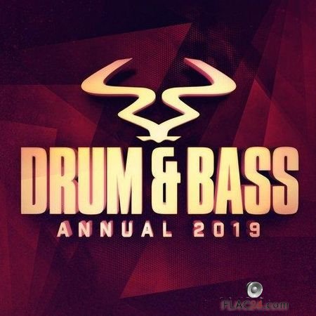 VA - RAM Drum & Bass Annual 2019 (2018) FLAC (tracks)