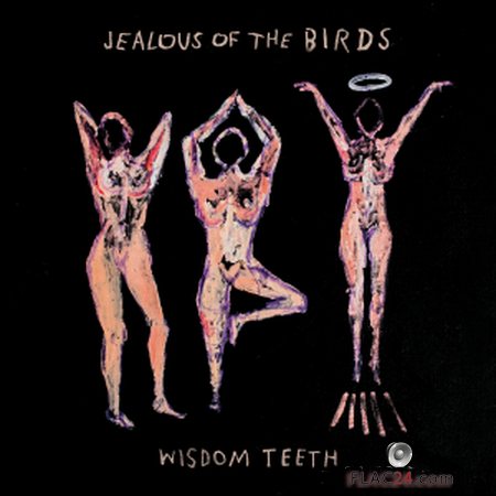 Jealous of the Birds - Wisdom Teeth (2019) FLAC