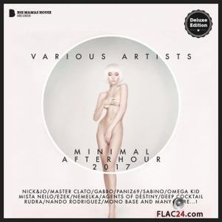 VA - Minimal Afterhour 2017 (Deluxe Version) (2017) FLAC