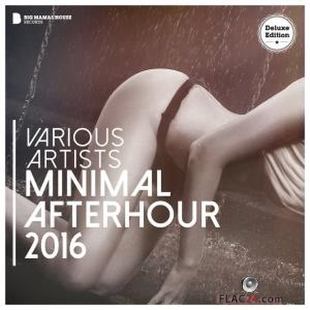 VA - Minimal Afterhour 2016 (Deluxe Version) (2016) FLAC