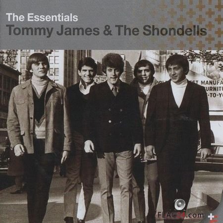 Tommy James And The Shondells - The Essentials (2002) FLAC (tracks + .cue)