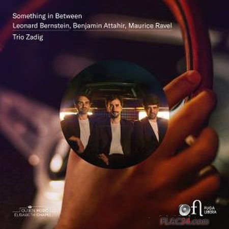 Trio Zadig - Something in Between (2019) (24bit Hi-Res) FLAC