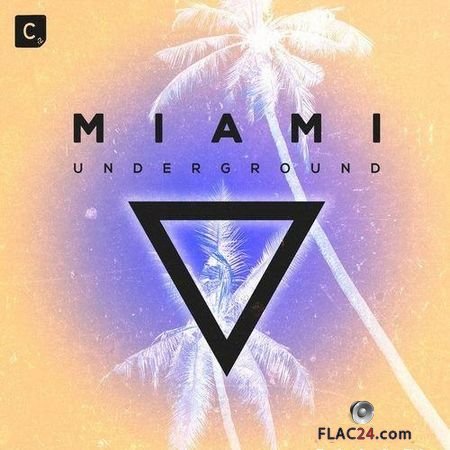 VA - Miami Underground 2019 (2019) FLAC (tracks)