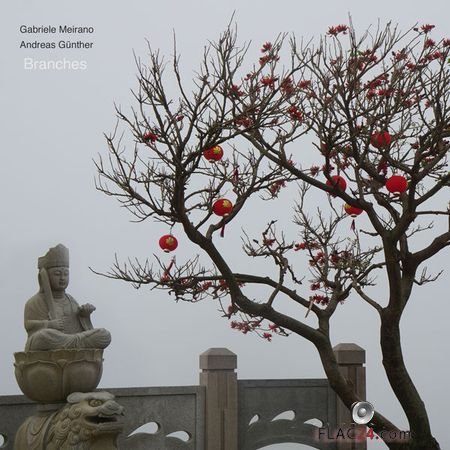 Andreas Gunther - Branches (2019) (24bit Hi-Res) FLAC