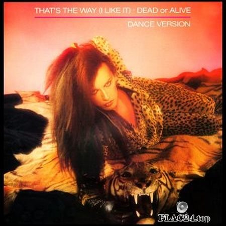Dead Or Alive - That's The Way (I Like It) (US 12'') (1984) (24bit Vinyl Rip) FLAC