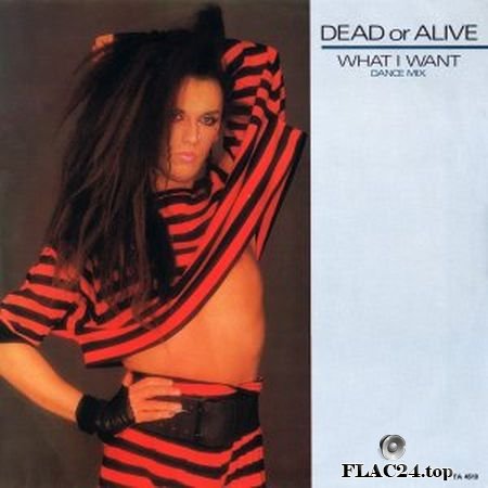 Dead Or Alive - What I Want (UK 12'') (1984) (24bit Vinyl Rip) FLAC