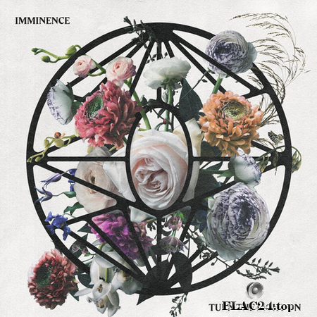 Imminence - Turn the Light On (2019) FLAC (tracks)