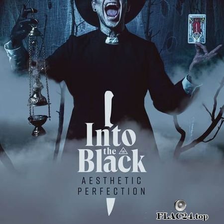 Aesthetic Perfection - Into The Black (2019) FLAC (tracks + .cue)
