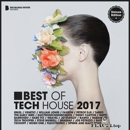 VA - Best of Tech House 2017 (Deluxe Version) (2018) FLAC (tracks)