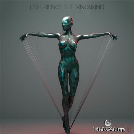 Twin Circus - Experience the Knowing (2019) FLAC (tracks)