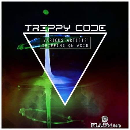 VA - Tripping On Acid (2019) FLAC (tracks)