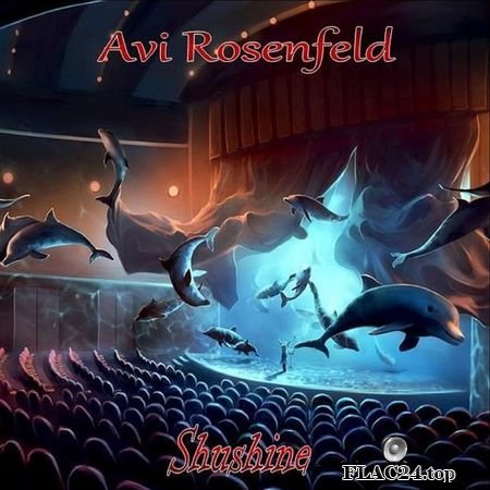 Avi Rosenfeld - Shushine (2018) FLAC (tracks)