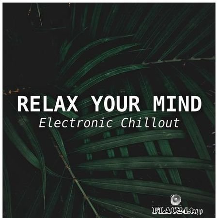 VA - Relax Your Mind - Electronic Chillout (2019) FLAC (tracks)