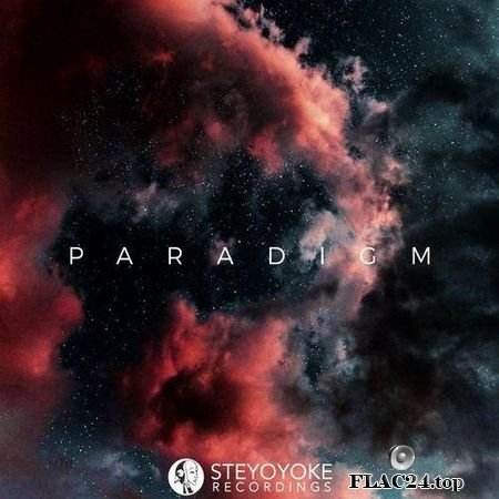 VA - Steyoyoke Paradigm, Vol. 05 (2019) FLAC (tracks)
