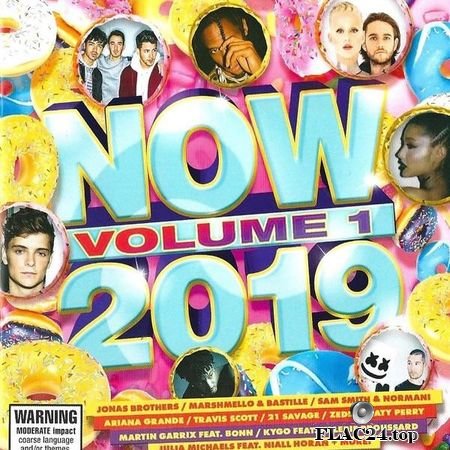 VA - Now 2019 Volume 1 (2019) FLAC (tracks + .cue)